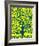 Blue Tree of Life-Gustav Klimt-Framed Premium Giclee Print