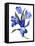 Blue tulip-Hiroyuki Izutsu-Framed Premier Image Canvas