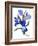 Blue tulip-Hiroyuki Izutsu-Framed Giclee Print