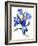 Blue tulip-Hiroyuki Izutsu-Framed Giclee Print