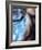 Blue Vase-Ursula Abresch-Framed Photographic Print