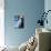 Blue Vase-Ursula Abresch-Mounted Photographic Print displayed on a wall