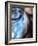 Blue Vase-Ursula Abresch-Framed Photographic Print