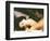 Blue Velvet, 1986-null-Framed Premium Giclee Print