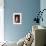 Blue Velvet (photo)-null-Framed Photo displayed on a wall