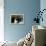 Blue Velvet (photo)-null-Framed Stretched Canvas displayed on a wall