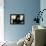 Blue Velvet (photo)-null-Framed Stretched Canvas displayed on a wall