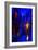 Blue Venice-Steven Boone-Framed Photographic Print