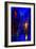 Blue Venice-Steven Boone-Framed Photographic Print