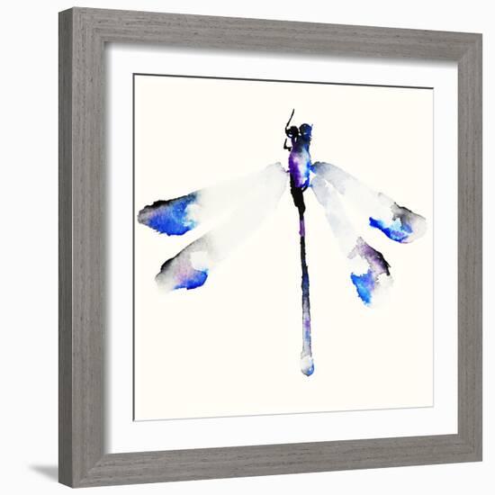 Blue & Violet Dragonfly-Karin Johannesson-Framed Premium Giclee Print