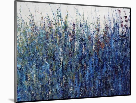 Blue Vision-Tim O'toole-Mounted Premium Giclee Print