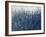 Blue Vision-Tim O'toole-Framed Giclee Print