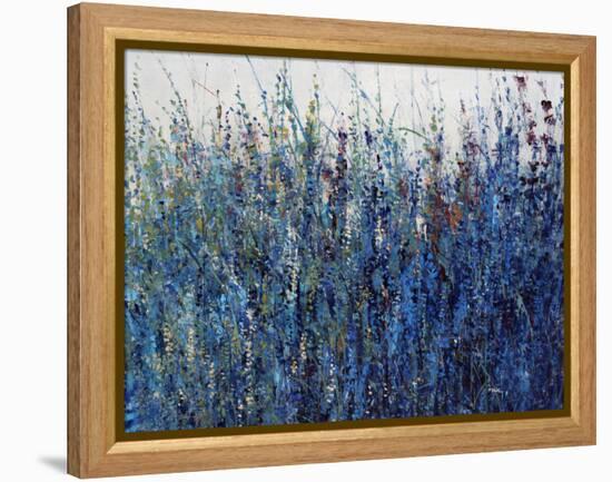 Blue Vision-Tim O'toole-Framed Premier Image Canvas