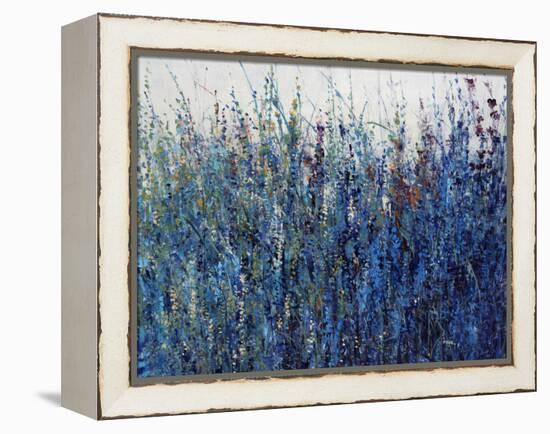 Blue Vision-Tim O'toole-Framed Premier Image Canvas