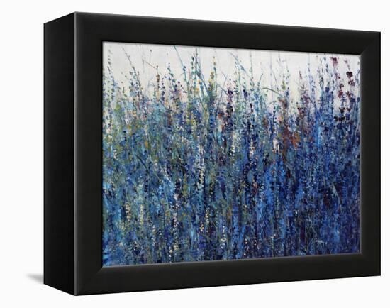 Blue Vision-Tim O'toole-Framed Premier Image Canvas