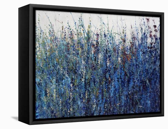 Blue Vision-Tim O'toole-Framed Premier Image Canvas