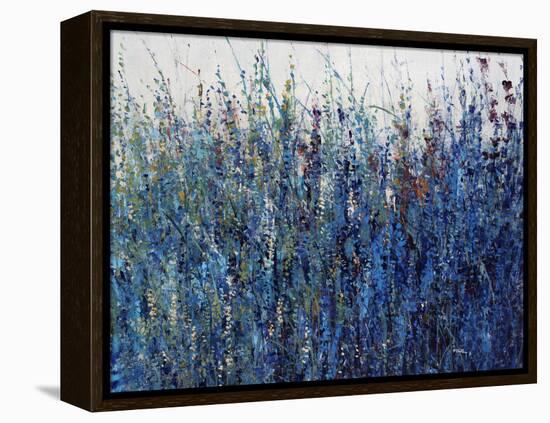 Blue Vision-Tim O'toole-Framed Premier Image Canvas