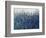 Blue Vision-Tim O'toole-Framed Giclee Print