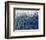 Blue Vision-Tim O'toole-Framed Giclee Print