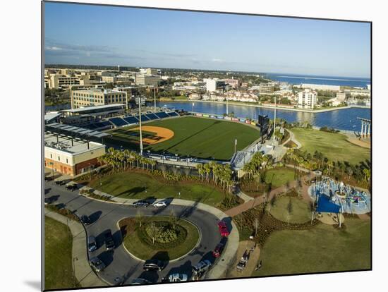 Blue Wahoo's Stadium Pensacola, FL-Bobby R Lee-Mounted Photographic Print