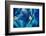 Blue Wall Abstract-Ursula Abresch-Framed Photographic Print