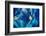 Blue Wall Abstract-Ursula Abresch-Framed Photographic Print