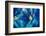 Blue Wall Abstract-Ursula Abresch-Framed Photographic Print