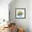 Blue Wash I-Sandra Jacobs-Framed Giclee Print displayed on a wall