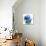 Blue Wash II-Sandra Jacobs-Giclee Print displayed on a wall