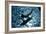 Blue Water 8433-Rica Belna-Framed Giclee Print