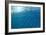 Blue Water 9225-Rica Belna-Framed Giclee Print