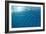 Blue Water 9225-Rica Belna-Framed Giclee Print