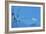 Blue Water-Heidi Westum-Framed Giclee Print