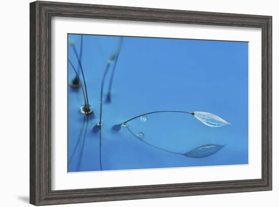 Blue Water-Heidi Westum-Framed Giclee Print