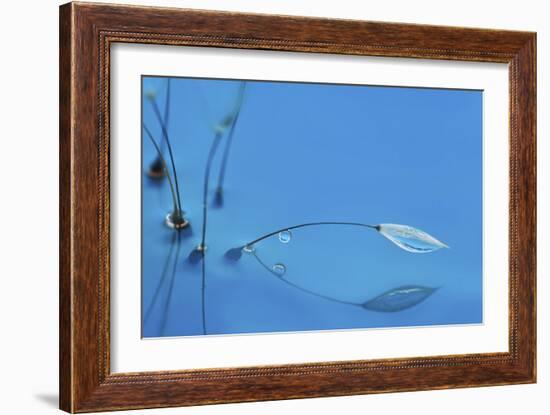 Blue Water-Heidi Westum-Framed Giclee Print