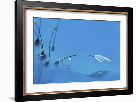 Blue Water-Heidi Westum-Framed Giclee Print