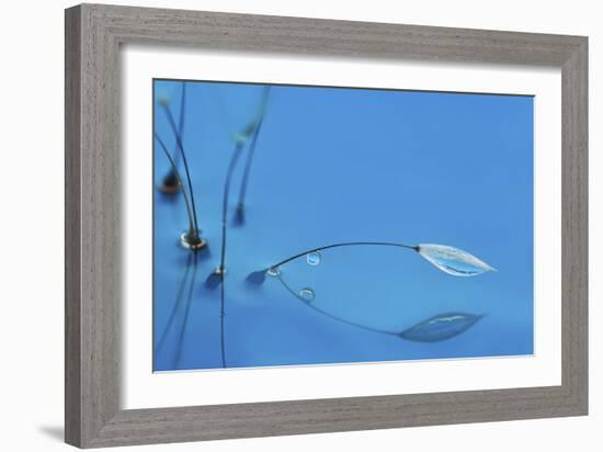 Blue Water-Heidi Westum-Framed Giclee Print