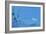 Blue Water-Heidi Westum-Framed Giclee Print