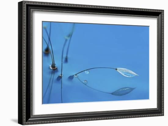 Blue Water-Heidi Westum-Framed Giclee Print