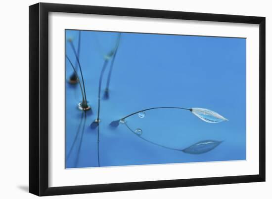 Blue Water-Heidi Westum-Framed Giclee Print