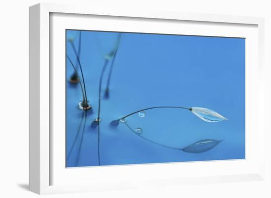 Blue Water-Heidi Westum-Framed Giclee Print