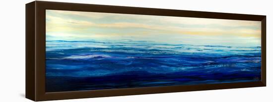 Blue Waters-Barbara Bilotta-Framed Stretched Canvas