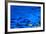 Blue Wave Abstract Number 3-Steve Gadomski-Framed Photographic Print