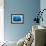Blue whale swims beneath the surface, Indian Ocean-Alex Mustard-Framed Photographic Print displayed on a wall
