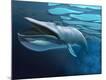 Premium Giclee Print