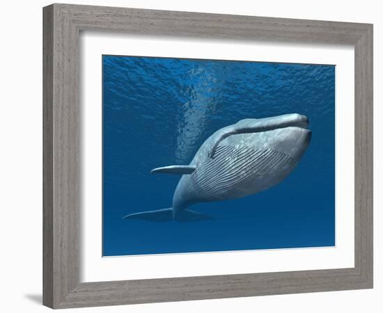 Blue Whale-MIRO3D-Framed Art Print