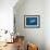 Blue Whale-MIRO3D-Framed Art Print displayed on a wall