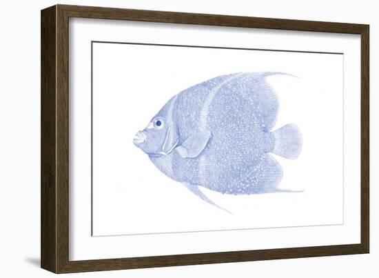 Blue & White Tropical Fish V-Vision Studio-Framed Art Print