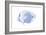 Blue & White Tropical Fish VI-Vision Studio-Framed Art Print