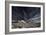 Blue White-Thorsteinn H.-Framed Photographic Print